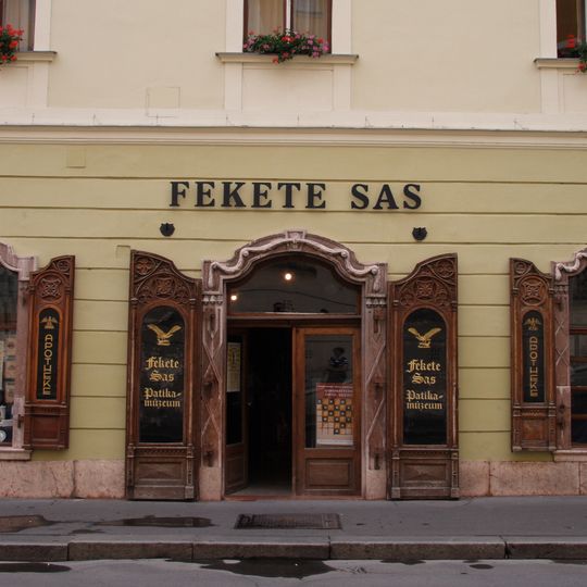 Black Eagle Pharmacy, Székesfehérvár