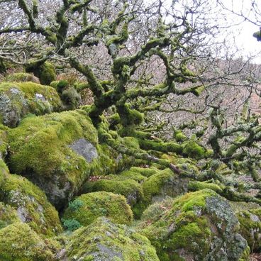 Miejsca naturalne i historyczne w Devon