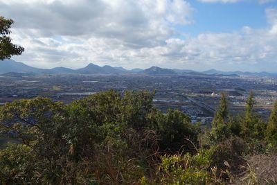 The view 1