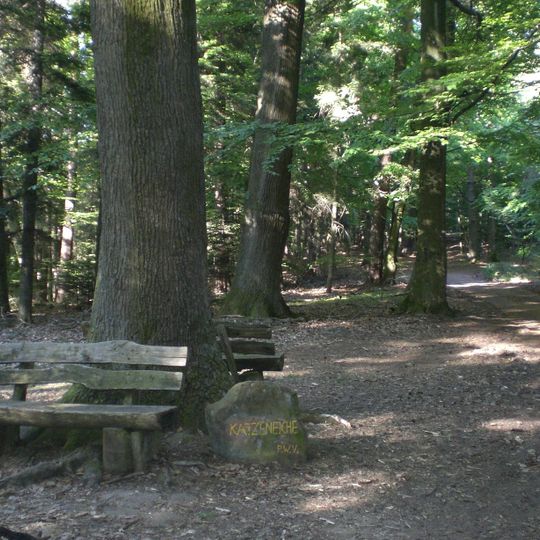 Ritterstein 206 "Katzeneiche"