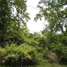 Old Sutton High School