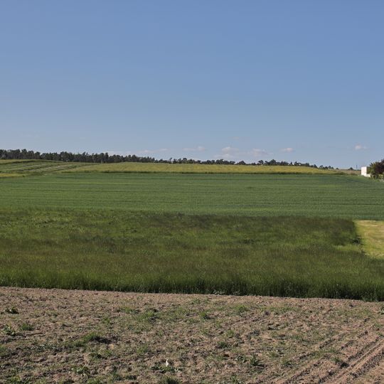 Östlicher Abschnitt des westlich-östlich gerichteten Talgrundes Pointwiesen