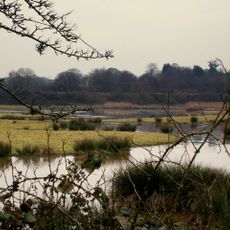 Bowling Green Marsh RSPB reserve