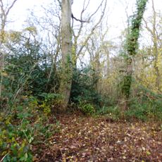 Pasture and Asplin Woods