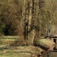 Voorschoten
