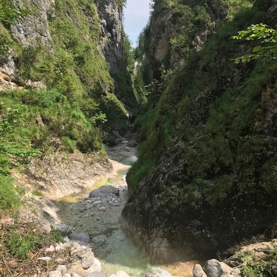 Schellenberger Forst