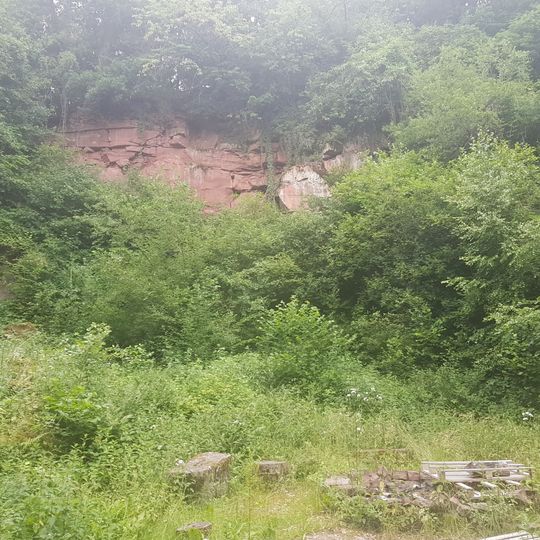 Aufg. Steinbruch am Neuberg ca. 1900 m SW von Höhefeld