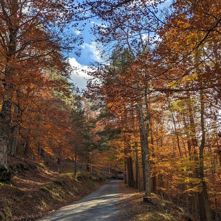 Sierra de Cebollera Natural Park