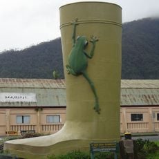 Golden Gumboot