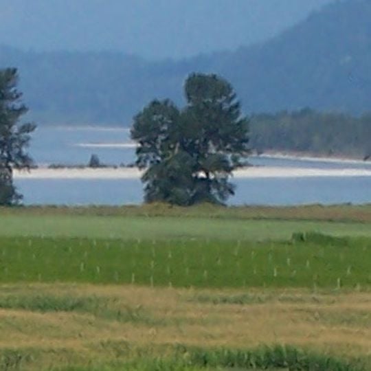 Fraser Valley