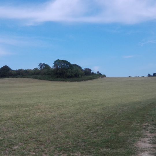 Rezerwat przyrody Ligota Dolna