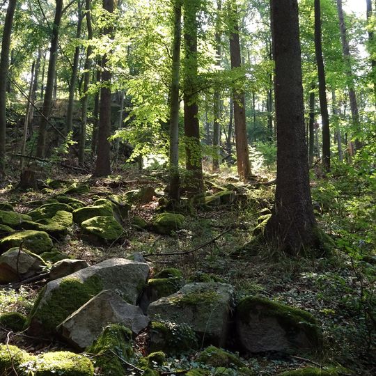 Buchenwälder des vorderen Odenwaldes