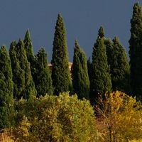 Savignano sul Rubicone