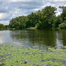 Jezioro Wilanowskie