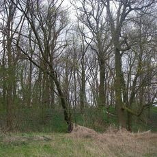 Burgwall Wildberg (Temnitztal)