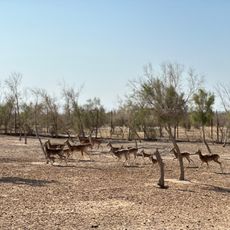 Bukhara specialized nursery "Jayron"