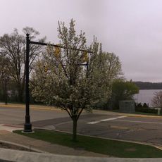 Reeds Lake