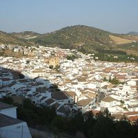 Algodonales