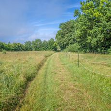 Dürrfelder und Sulzheimer Wald