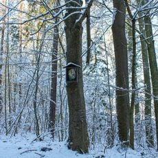 Obrázek u Kadeřína vedle lesní cesty