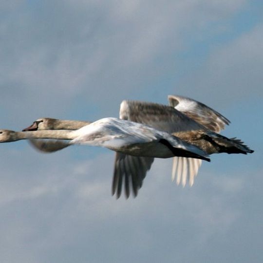 Parco nazionale di Schinias Maratona