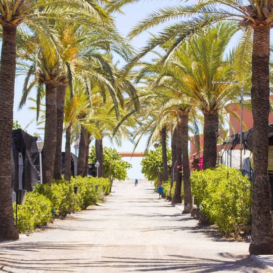 Camping Mediterráneo