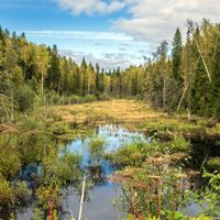 Murashinsky District