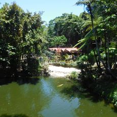 Kuranda Koala Gardens