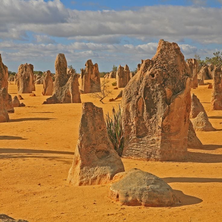Pinnacles