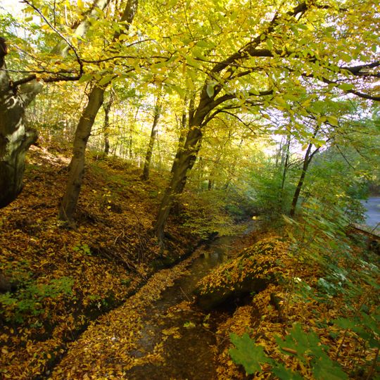 Přírodní park Prokopské a Dalejské údolí
