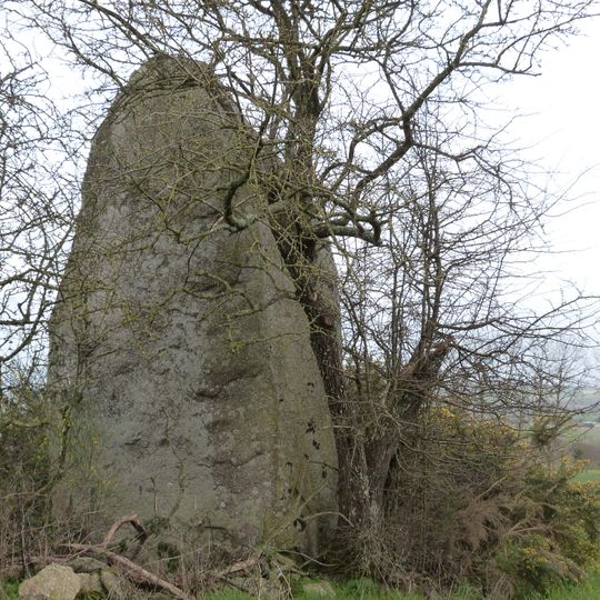 Menhirs de Saint-Mirel
