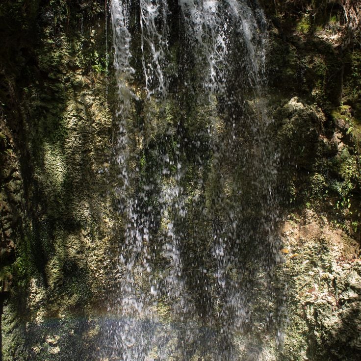Parc État de Falling Waters