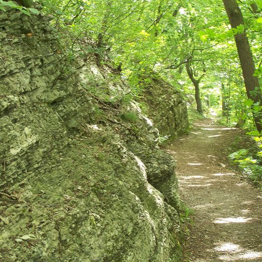 Burgberg mit Baldrichstein und Kräuterwiese