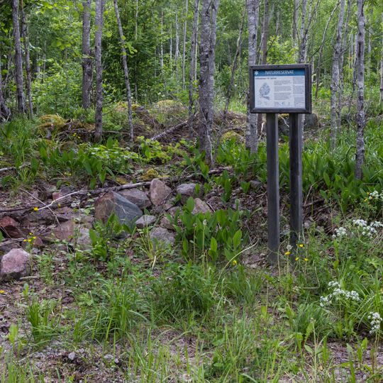 Sätra Nature Reserve