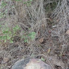 Polissoirs du Cassis