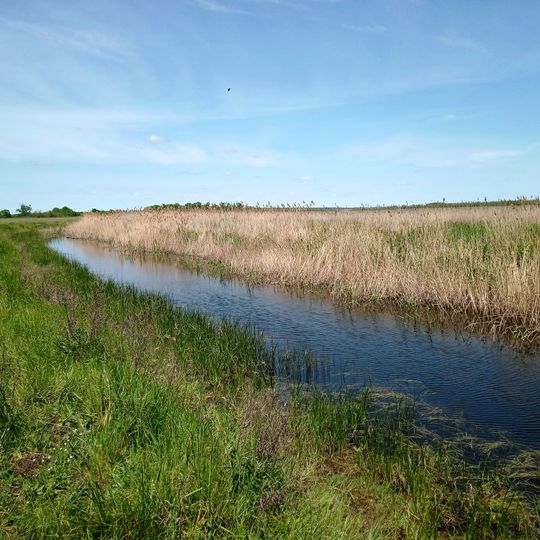 Щуча заводь