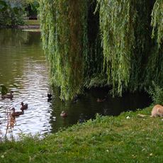 Brønshøjparken