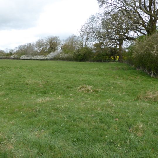 Hardwick Lodge Meadow