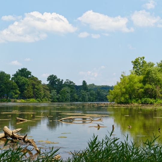 Cove Lake State Park