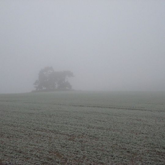 Bowl barrow, 452m north west of Cameleon Lodge