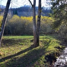 Scharlenbachtal-Hofwald