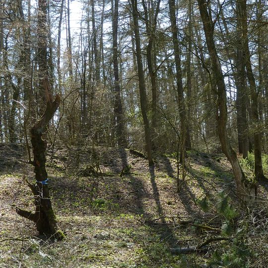 Ossenberg - Fehrenbusch