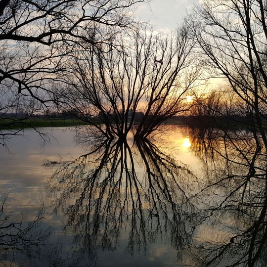 NSG Altrhein Reeser-Eyland