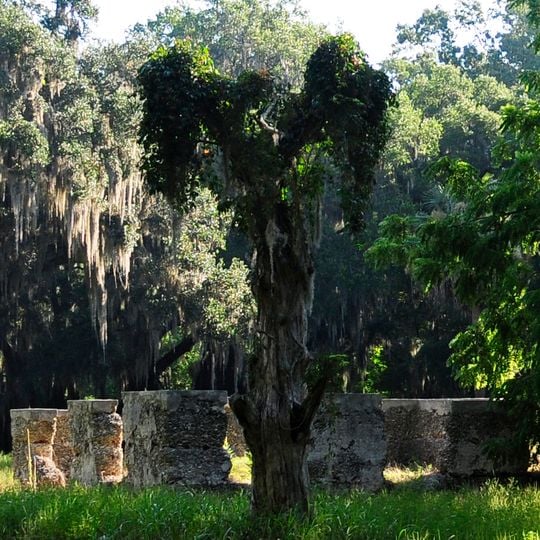 White Hall Plantation House Ruins and Oak Avenue