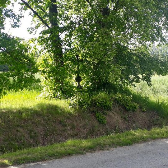 Kříž západně od Krakovčic u křižovatky