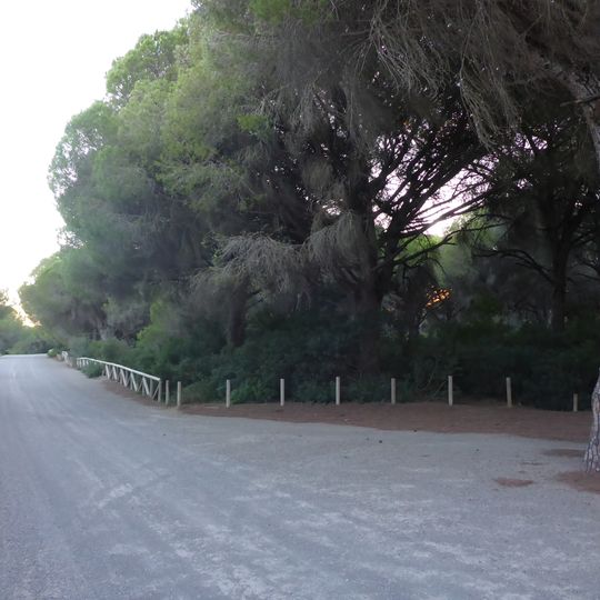 Dehesa de las Yeguas