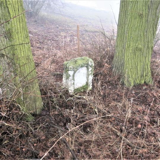 Kříž pod lipami u silnice severně od Homole u Panny