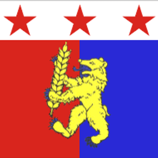 Krasnogvardejskij rajon