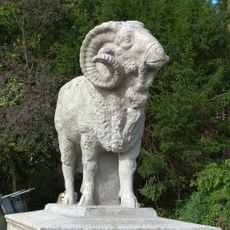 Widder „Sir Charles“