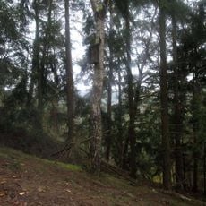 Obrázek západně od Strážiště